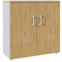 Aktenschrank mit Flügeltüren - Höhe 101 cm